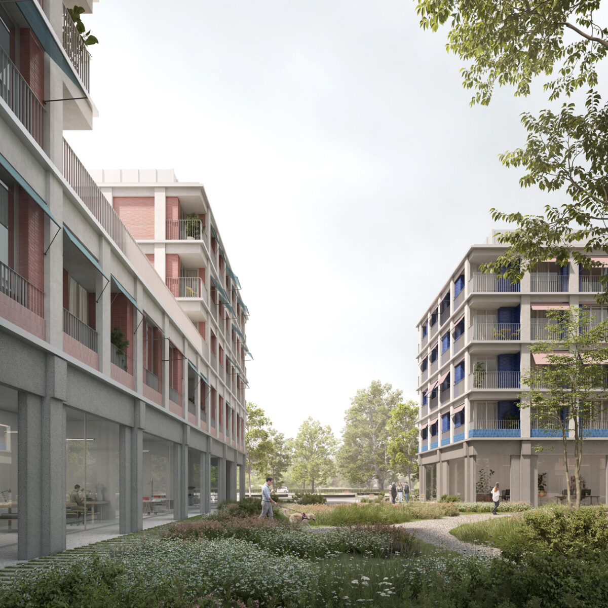 CHP render 4 CHP render 4